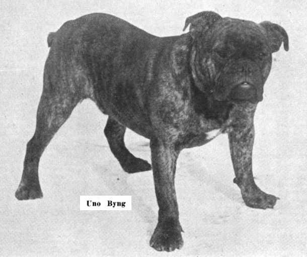 Uno Byng 169831