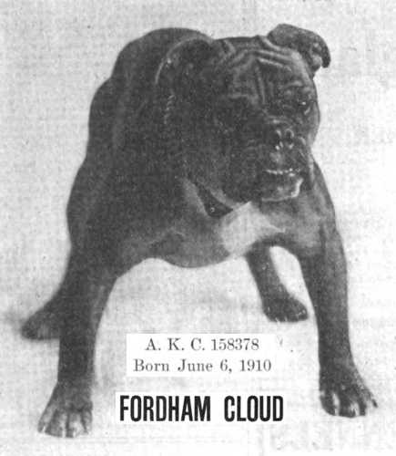 Fordham Cloud 158378