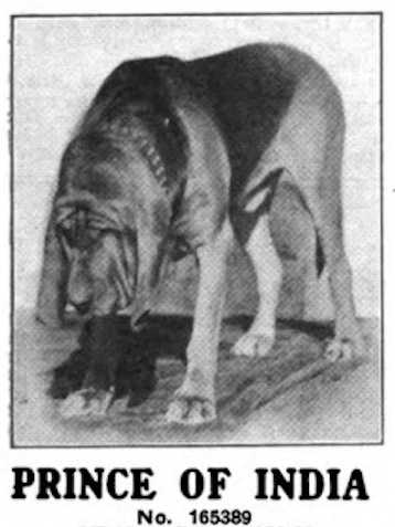 Prince of India B 165389