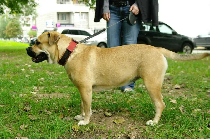 Zherika