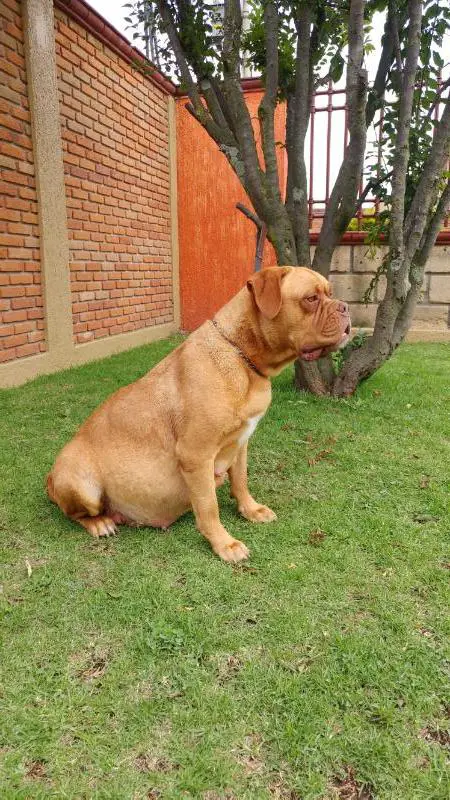 Vilma SM (Eslava)