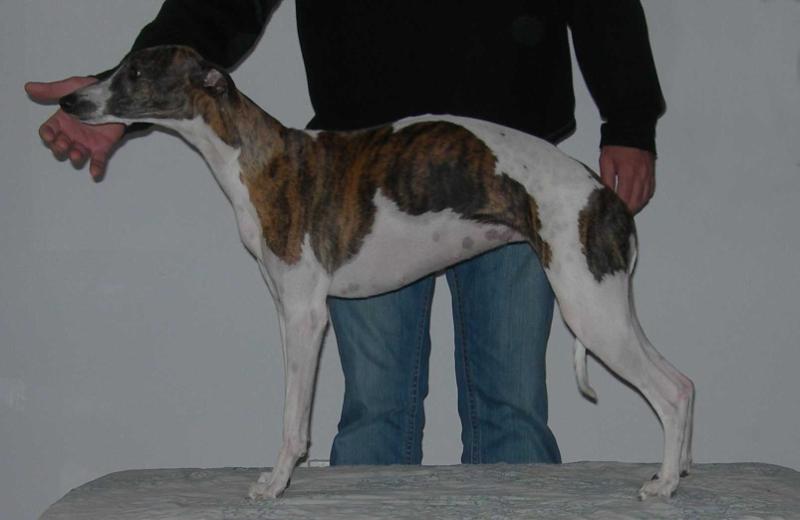 ELANOR de la Côte des Lutins