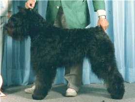 Sanrick's Lady Diana