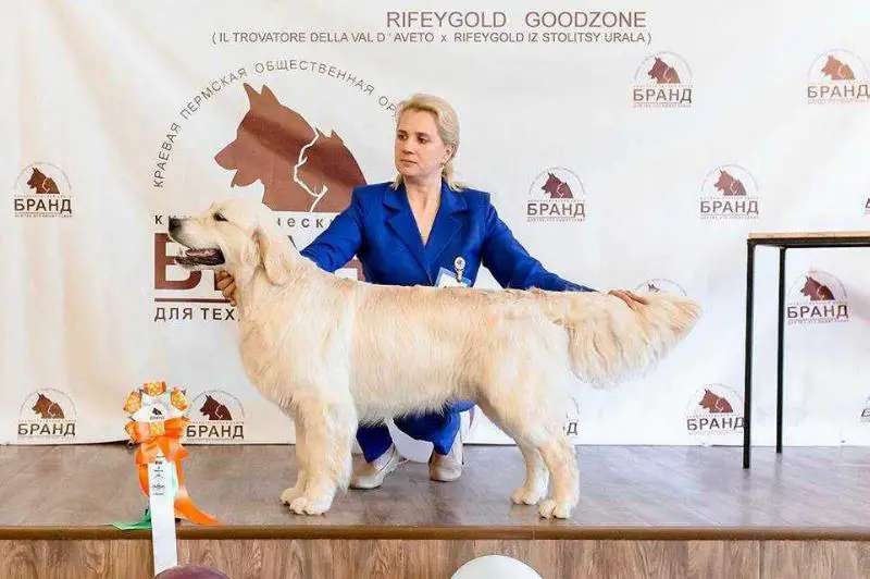 Rifeygold Goodzone