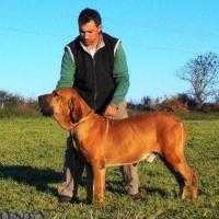 Jean Cloud Wandame IV do Rincão Violento