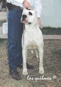 Ana Del Puerto Viejo