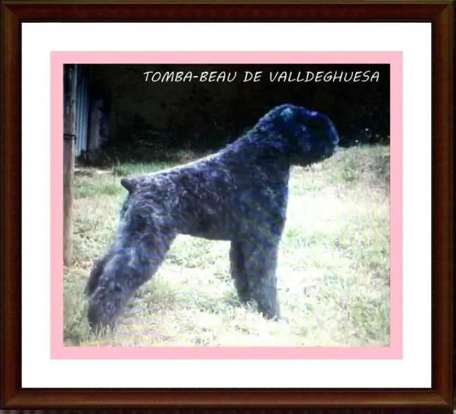 Tomba de Valldeghuesa