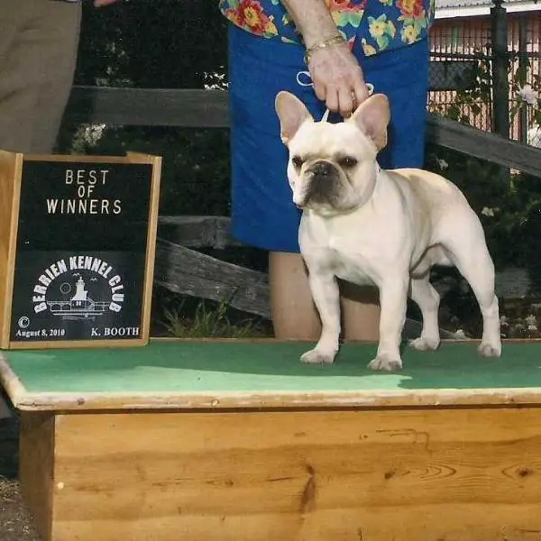 Mobulls Sam N Sawyer's Final Copy