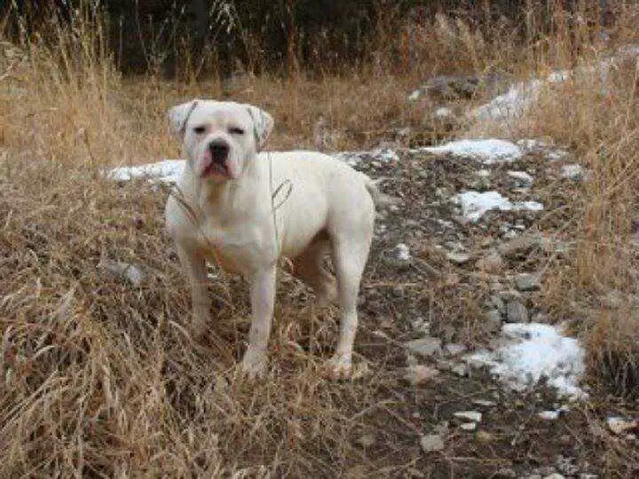 BIG SKY'S ANGEL