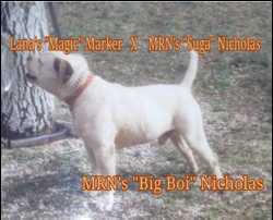 M.R.N. Big Boy Nicholas