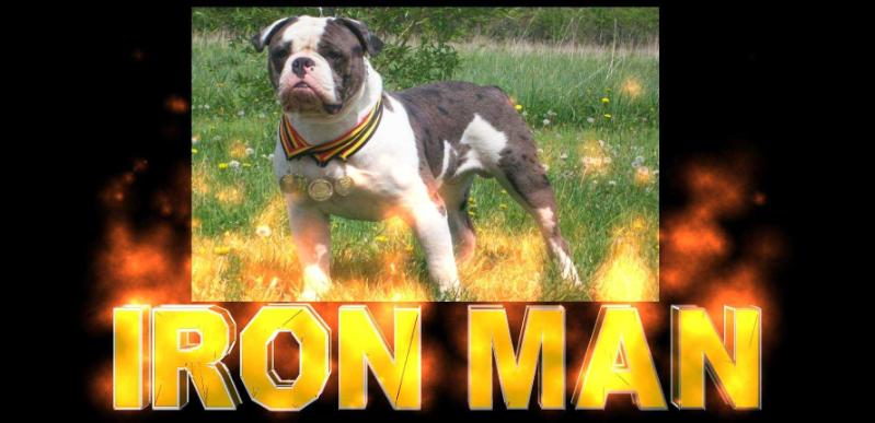 Jo-Lin's Iron Man Of Marvel's