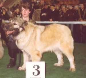 Gretta