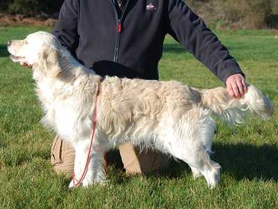 Lili Rose de la Vallée de la Garde
