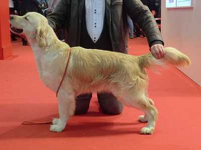 Lolita de la Vallée de la Garde