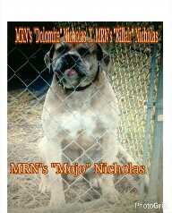 MRN Mojo (OSB)