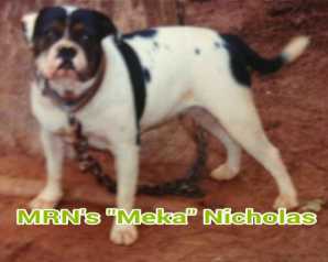 MRN Meka (OSB)