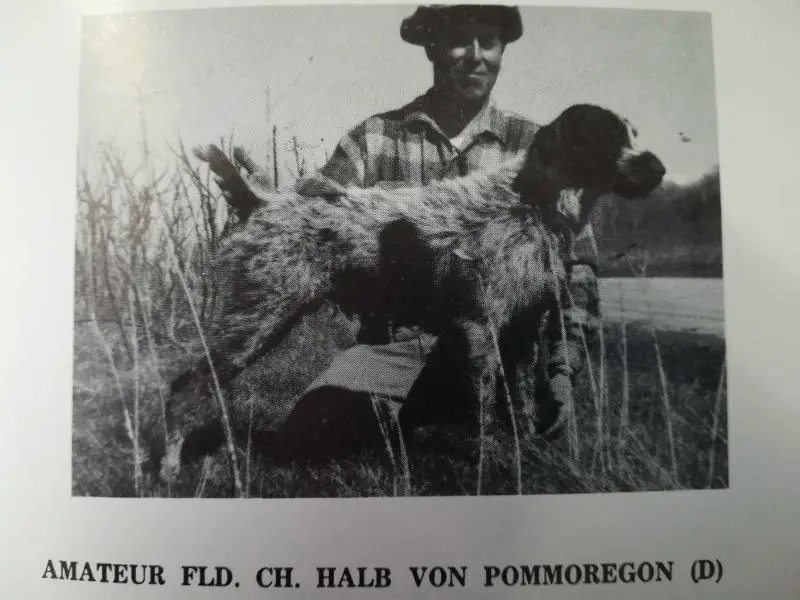 Halb Von Pommoregon