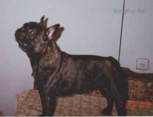 OLVIA RKF0017507