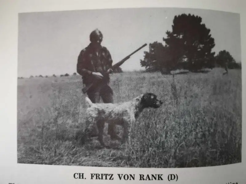 Fritz Von Rank