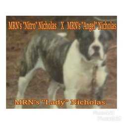 MRN's Lady Nicholas