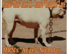 MRN ANGEL(OSB)
