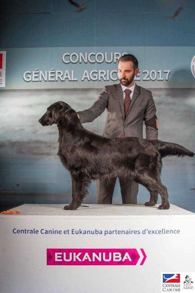 Gresca de la Corraliza