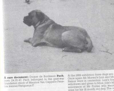 V'Pach (LOF 123)