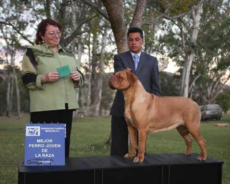 DEA DE LOS MIRMIDONES Y MARQUEZ