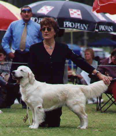Alnclair Lady Elizabeth