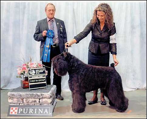 Barbu's Miasoltanto of Jenarae HIC