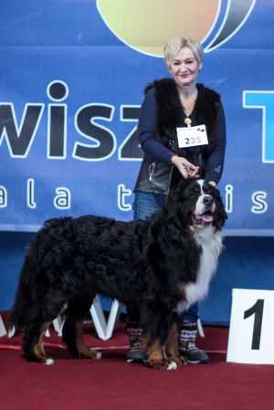 Elenberner Emingway