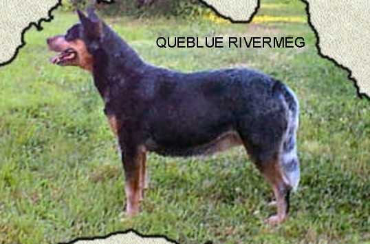 QUEBLUE RIVER MEG