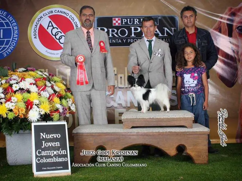 God save the queen Delescondite Kennel