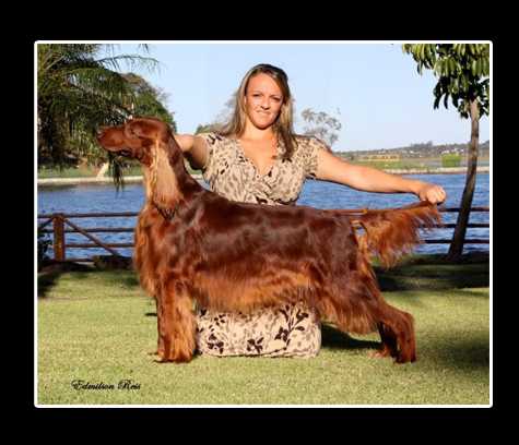 Brigitte Chasse