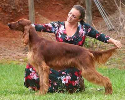 Last Passions Hunter Triaccan