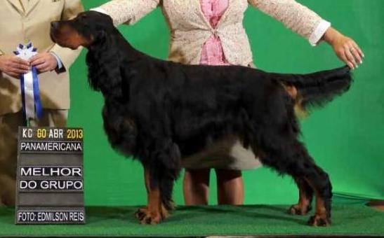 Misty Lake's New Star of Triaccan