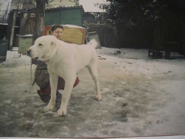 Balu
