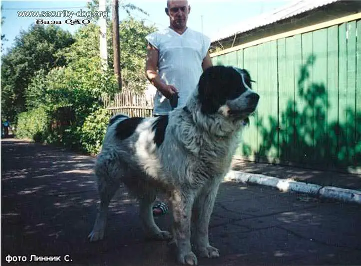 Ekemen owner Doronin