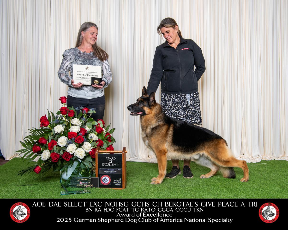 BergTal's Give Peace A Tri