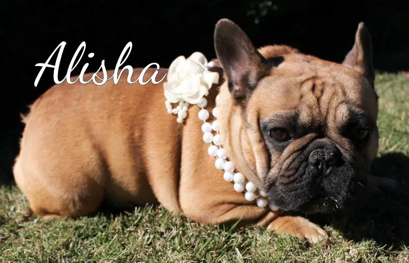 Awesome Alisha De La Freya Rouges