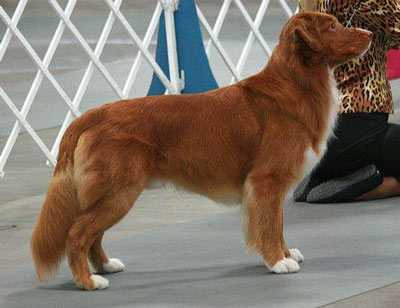 QuinnCreek's Montana Premier
