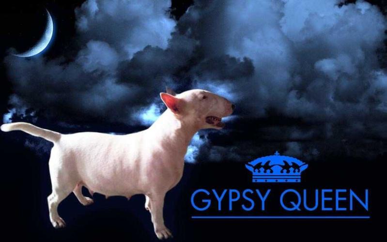 GYPSY QUEEN