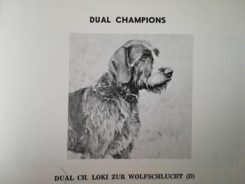 LOKI ZUR WOLFSCHLUCHT (D)