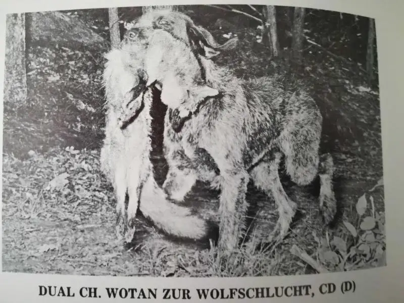 WOTAN ZUR WOLFSCHLUCHT  CD (D)