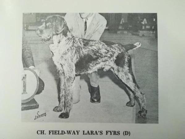 FIELD-WAY LARA'S FYRS
