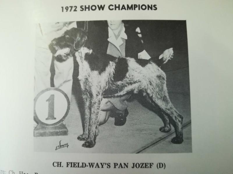 FIELD-WAY'S PAN JOZEF