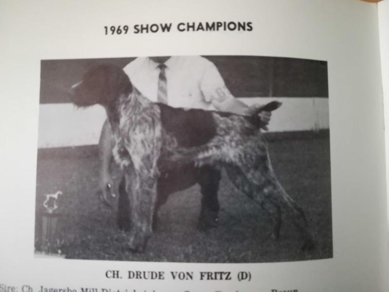 DRUDE VON FRITZ