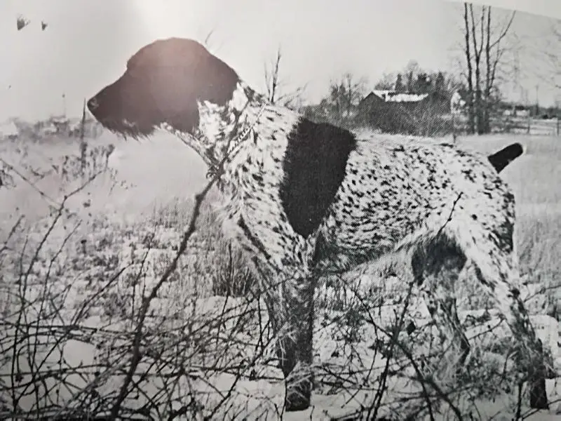 BLICK V. SCHNELLBERG