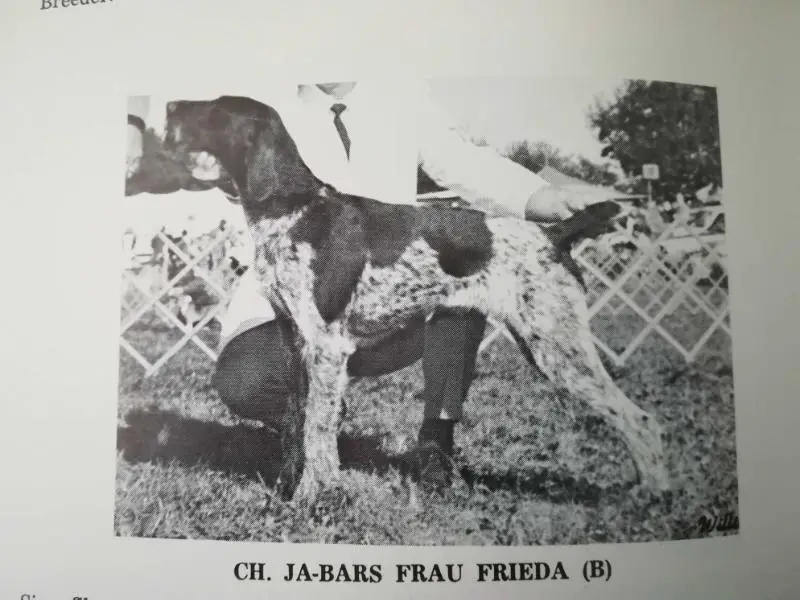 JA-BARS FRAU FRIEDA