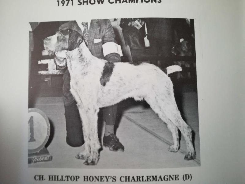 HILLTOP HONEY'S CHARLEMAGNE